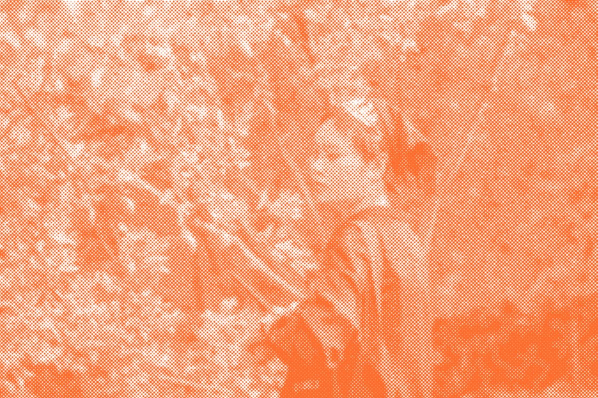 Self-portrait.