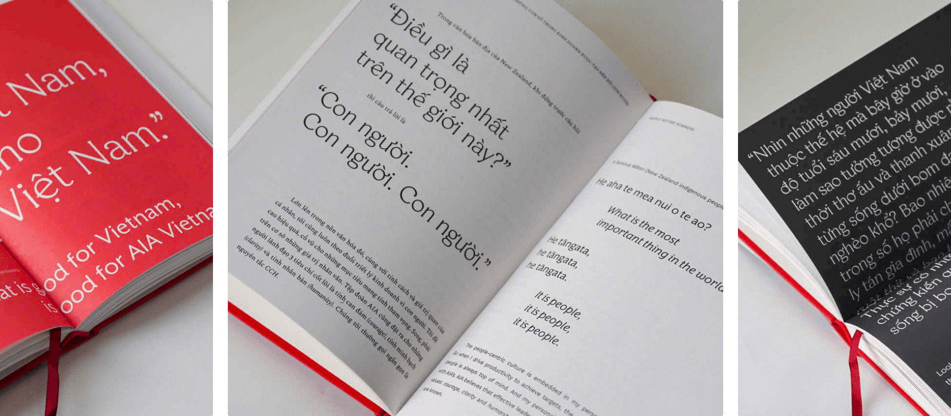 In the Land of Resilience